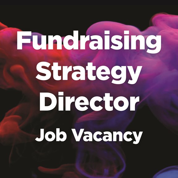 Fundraising Strategy Director role